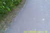 20110814-SUNP0002-frame0027.jpg