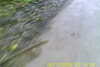 20110814-SUNP0002-frame0029.jpg