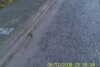 20110814-SUNP0002-frame0031.jpg