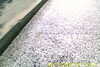 20110814-SUNP0002-frame0033.jpg