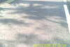 20110814-SUNP0002-frame0037.jpg