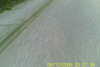 20110814-SUNP0002-frame0042.jpg