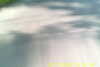 20110814-SUNP0002-frame0050.jpg