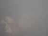 20110814-PICT0001-frame0003.jpg