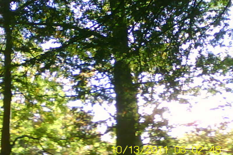 20111028-SUNP0031-frame0001.jpg