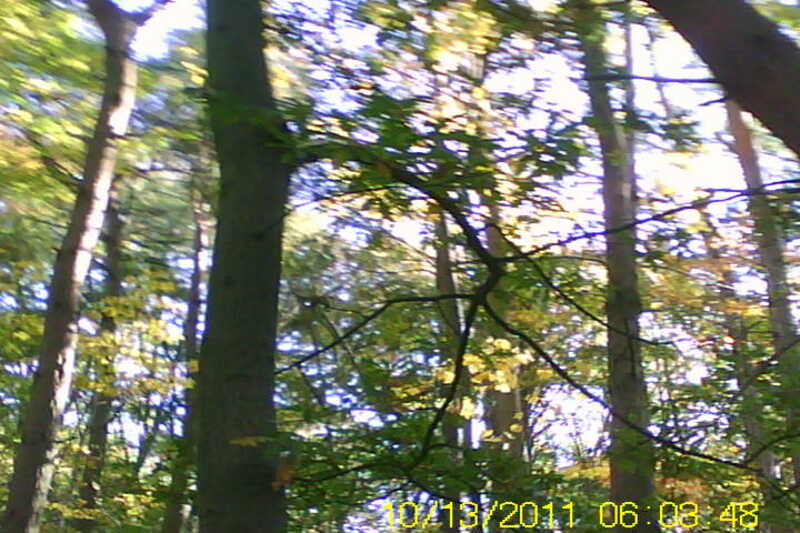 20111028-SUNP0031-frame0002.jpg