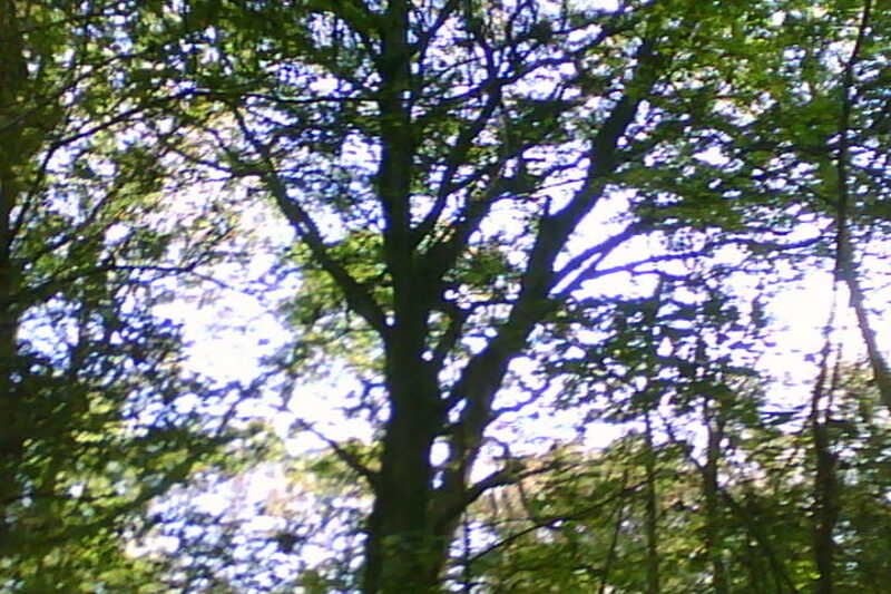 20111028-SUNP0031-frame0004.jpg