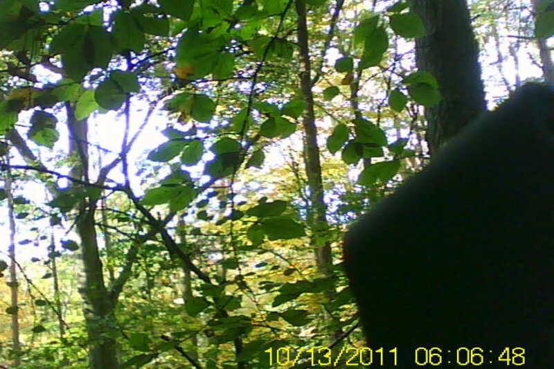 20111028-SUNP0031-frame0005.jpg
