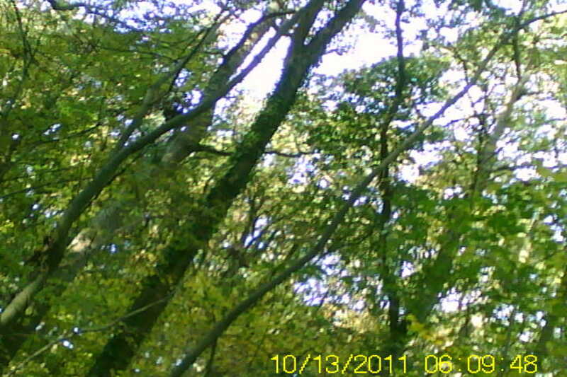 20111028-SUNP0031-frame0008.jpg