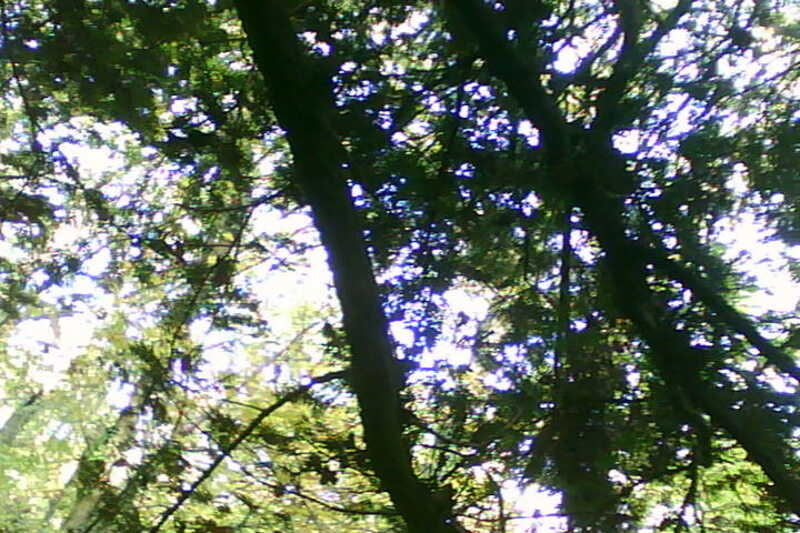 20111028-SUNP0031-frame0009.jpg