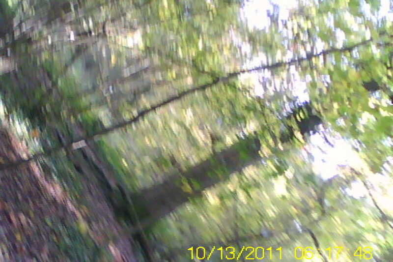 20111028-SUNP0031-frame0016.jpg