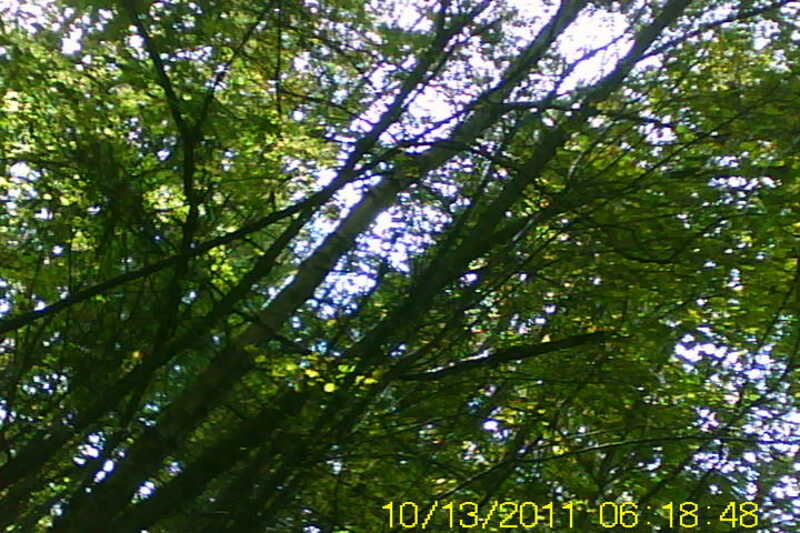 20111028-SUNP0031-frame0017.jpg