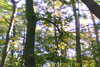20111028-SUNP0031-frame0002.jpg
