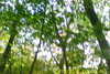 20111028-SUNP0031-frame0003.jpg