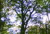 20111028-SUNP0031-frame0004.jpg
