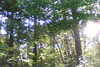 20111028-SUNP0031-frame0006.jpg