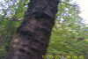 20111028-SUNP0031-frame0007.jpg