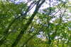 20111028-SUNP0031-frame0008.jpg
