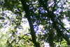 20111028-SUNP0031-frame0009.jpg