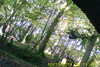 20111028-SUNP0031-frame0010.jpg