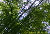 20111028-SUNP0031-frame0017.jpg