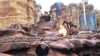 2012-01-14:Disney Studios
