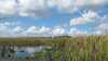 20120126-MVI_7054-frame0001.jpg
