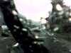 20120916-PICT0014-frame0001.jpg