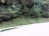 20120917-PICT0054-frame0002.jpg
