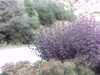 20120917-PICT0070-frame0001.jpg