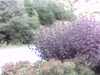 20120917-PICT0070-frame0002.jpg