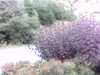 20120917-PICT0071-frame0001.jpg