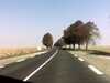 20120917-PICT0337-frame0002.jpg