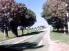 20120917-PICT0348-frame0001.jpg