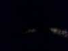 20120917-PICT0066-frame0001.jpg