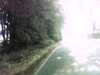 20120929-PICT0016-frame0002.jpg