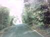20120929-PICT0017-frame0002.jpg