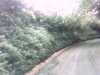 20120929-PICT0020-frame0001.jpg