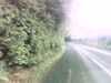 20120929-PICT0021-frame0001.jpg