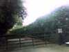 20120929-PICT0023-frame0001.jpg