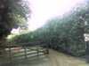 20120929-PICT0023-frame0002.jpg