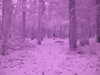 2013-03-24:UNIT Wolfs Bane

