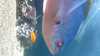20130504-MVI_9899-frame0001.jpg