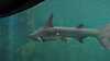 20130504-MVI_9975-frame0001.jpg
