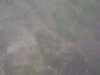 2013-07-06:cancale

