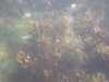 20130706-PICT0009-frame0002.jpg