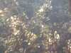 20130706-PICT0009-frame0003.jpg