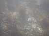 20130706-PICT0009-frame0004.jpg