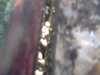20130706-PICT0010-frame0003.jpg