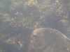 20130706-PICT0011-frame0002.jpg